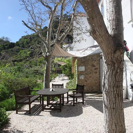 Ribeira Dos Marinheiros Amarelo Leilighet Sintra Eksteriør bilde