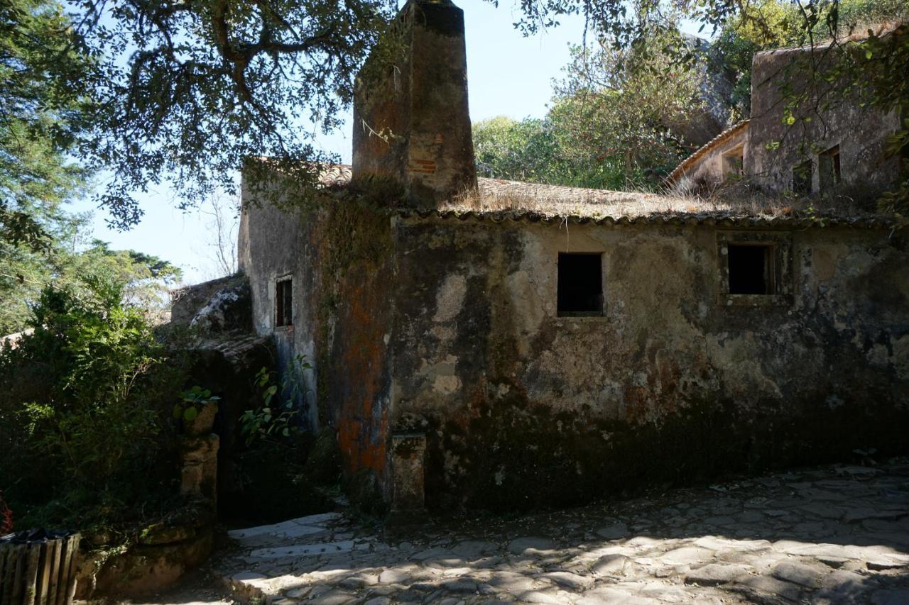 Ribeira Dos Marinheiros Amarelo Leilighet Sintra Eksteriør bilde