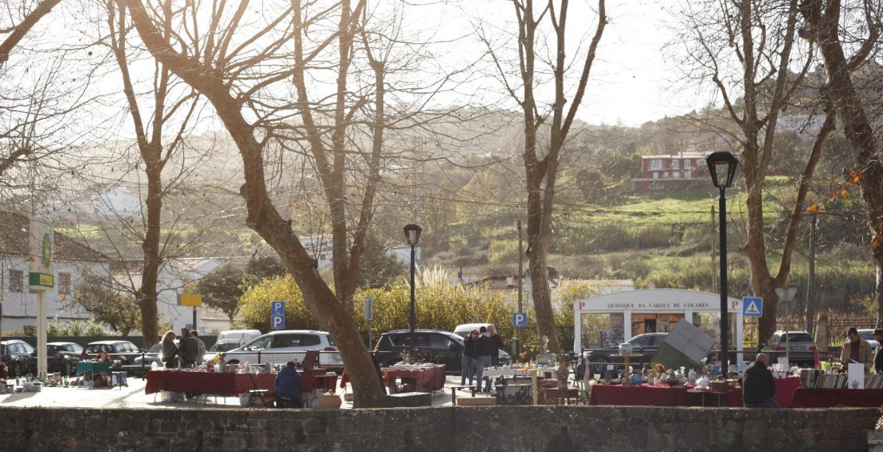Ribeira Dos Marinheiros Amarelo Leilighet Sintra Eksteriør bilde