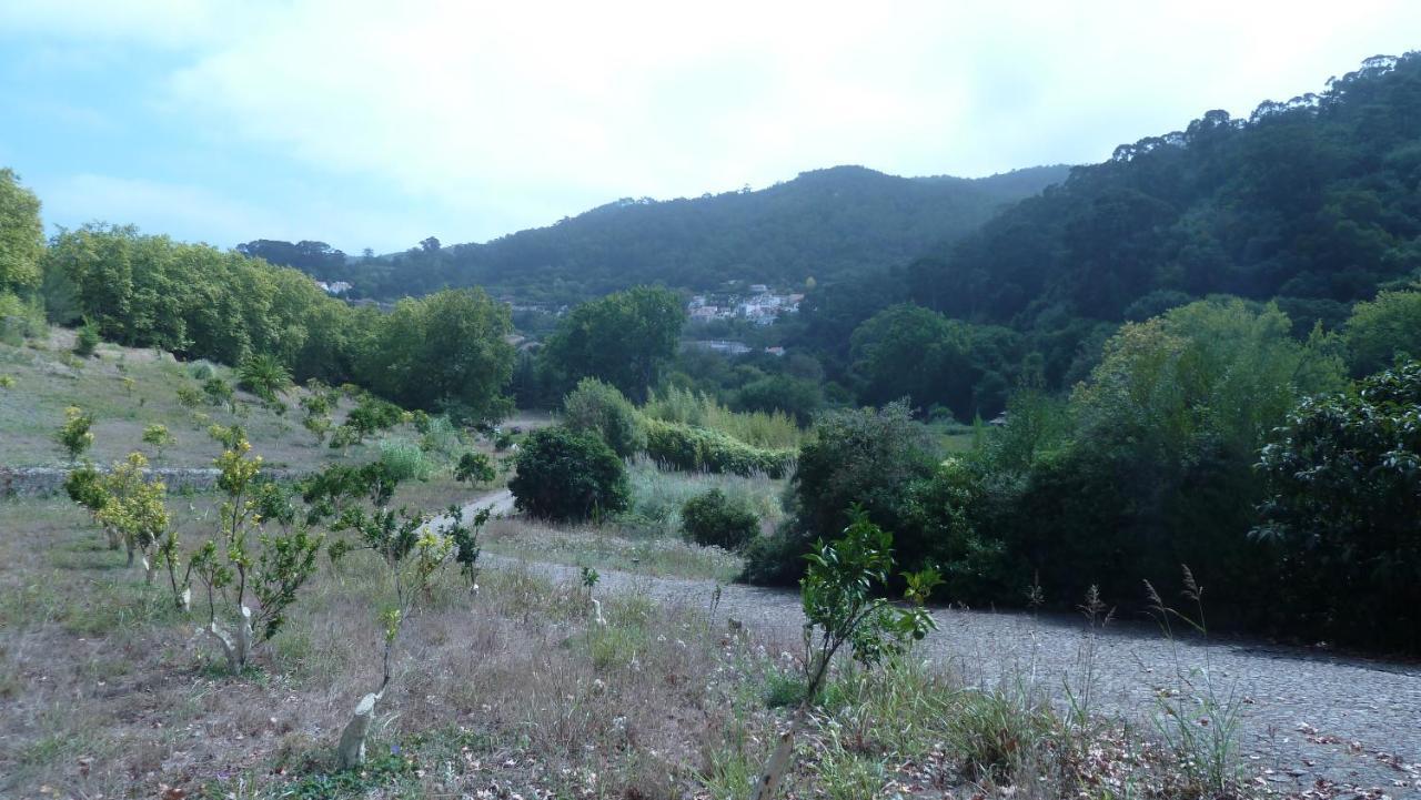 Ribeira Dos Marinheiros Amarelo Leilighet Sintra Eksteriør bilde