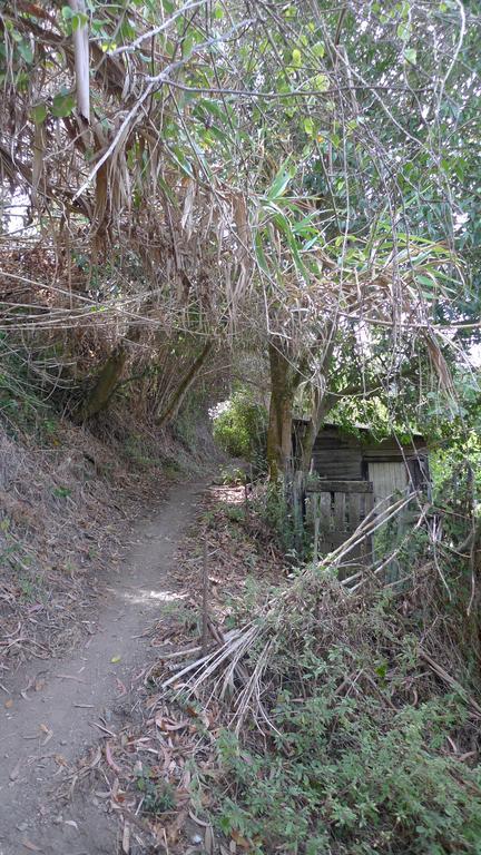 Ribeira Dos Marinheiros Amarelo Leilighet Sintra Eksteriør bilde